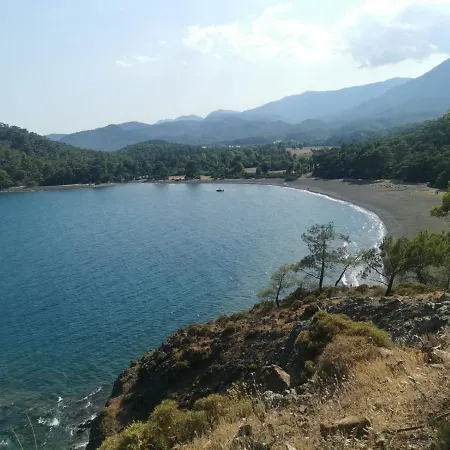 Stunning In With Seaview And Pool Apartament