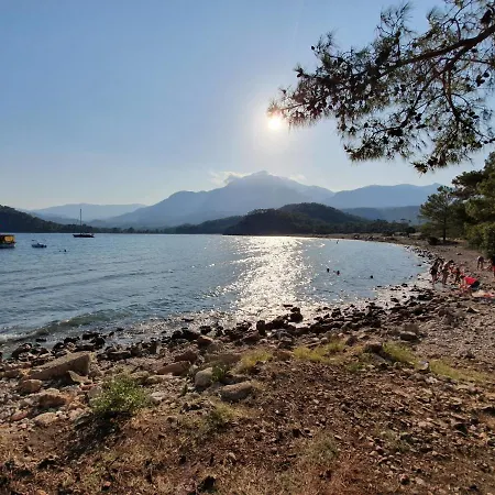 Stunning In With Seaview And Pool *