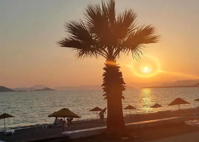 Stunning In With Seaview And Pool 厄吕代尼兹